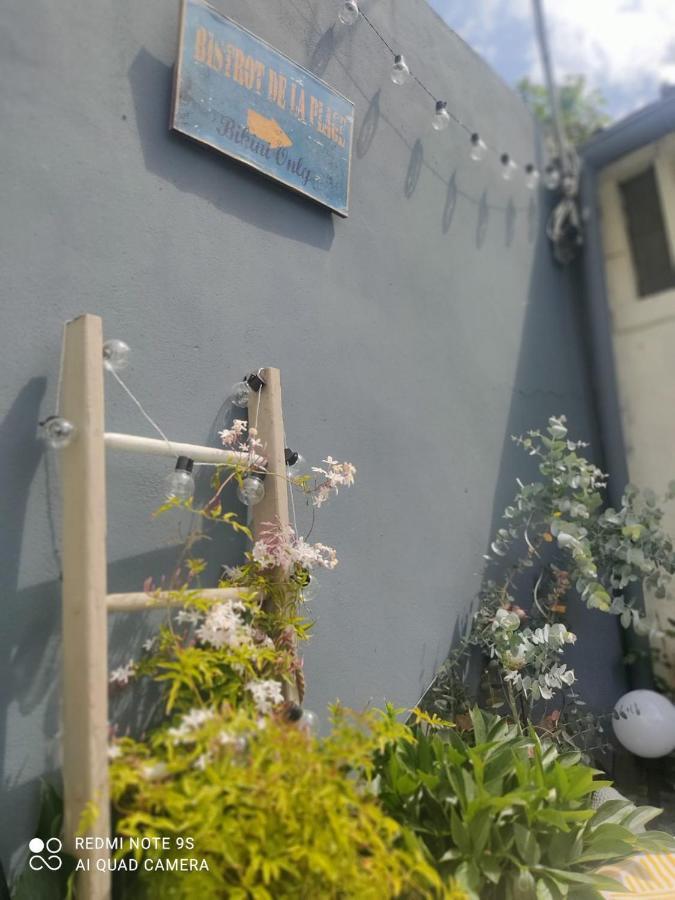 Le Cocon des Hortillonnages d'Amiens Camon  Extérieur photo
