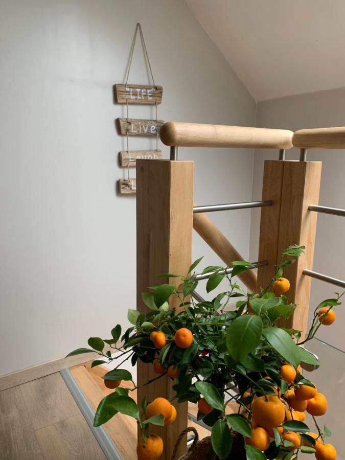 Le Cocon des Hortillonnages d'Amiens Camon  Extérieur photo