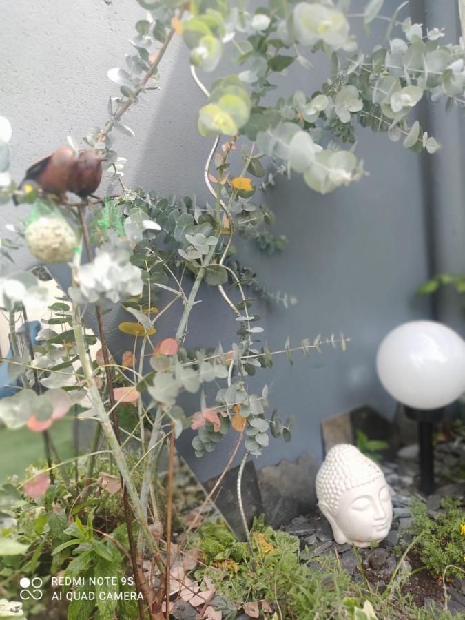 Le Cocon des Hortillonnages d'Amiens Camon  Extérieur photo