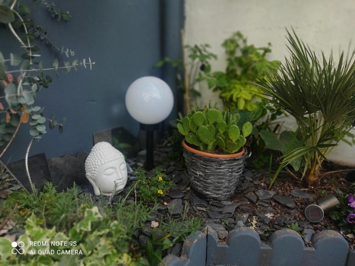 Le Cocon des Hortillonnages d'Amiens Camon  Extérieur photo