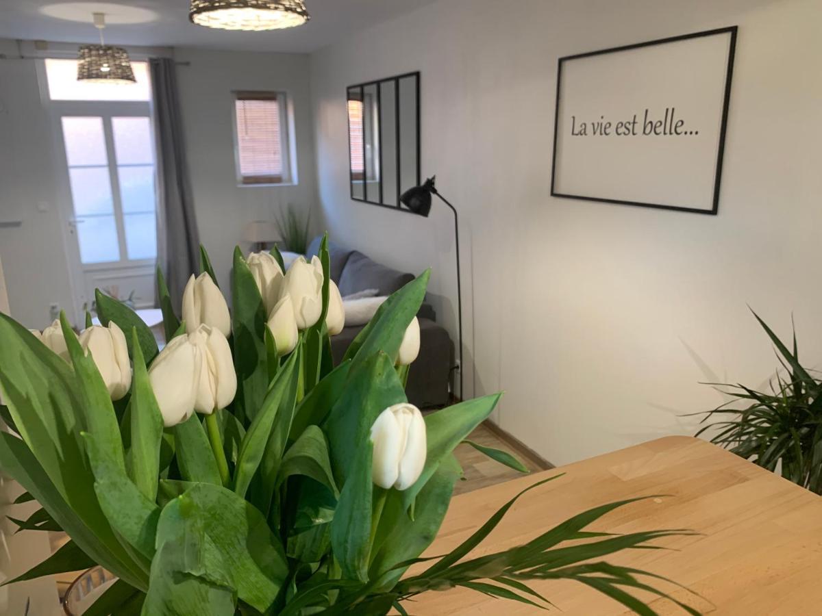 Le Cocon des Hortillonnages d'Amiens Camon  Extérieur photo
