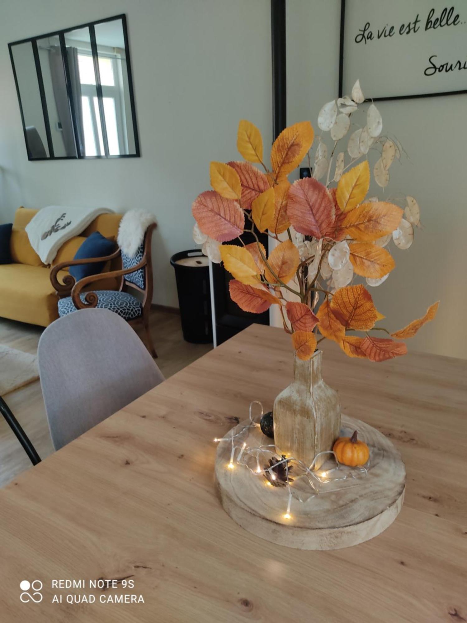Le Cocon des Hortillonnages d'Amiens Camon  Extérieur photo