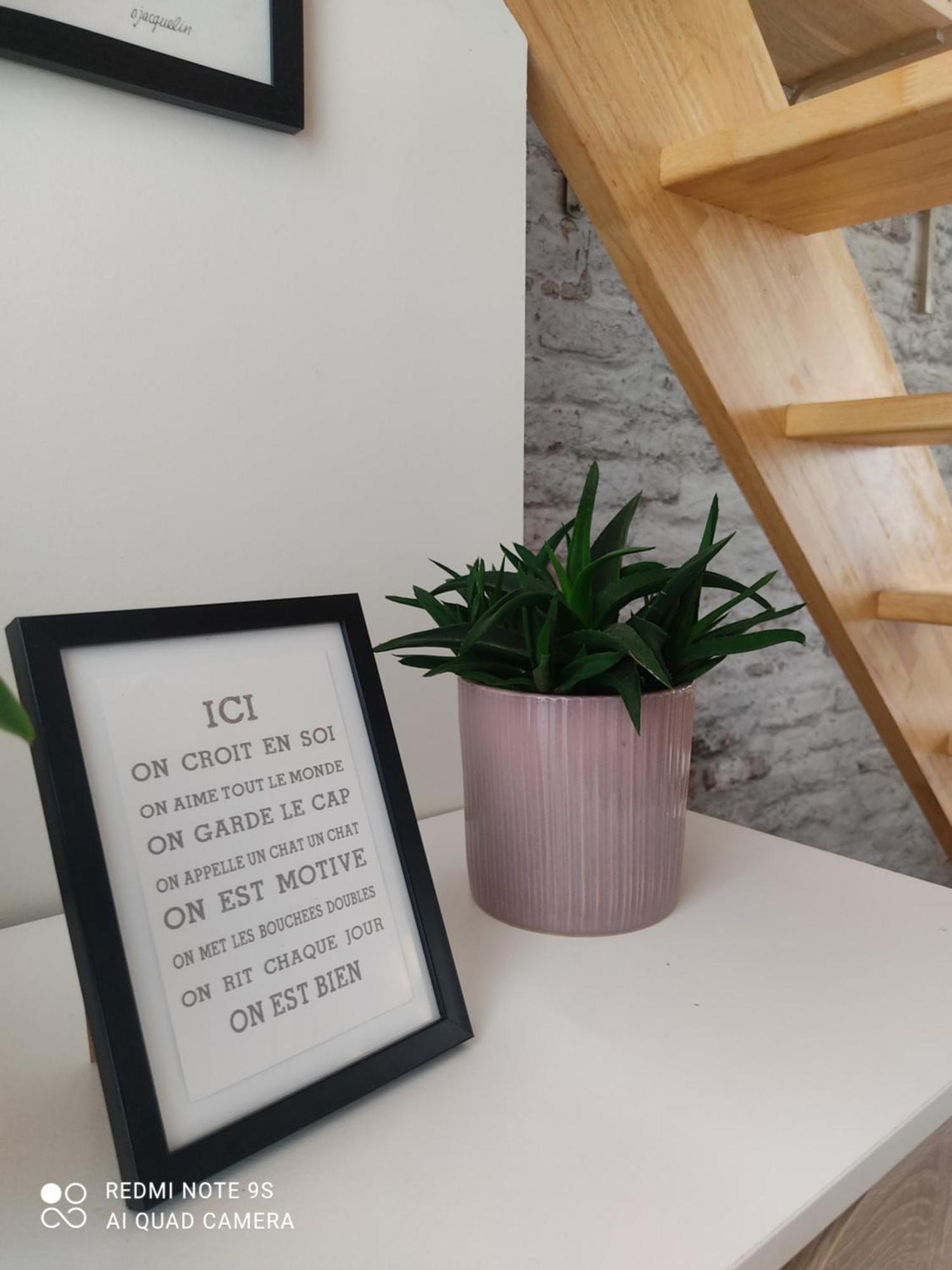 Le Cocon des Hortillonnages d'Amiens Camon  Extérieur photo
