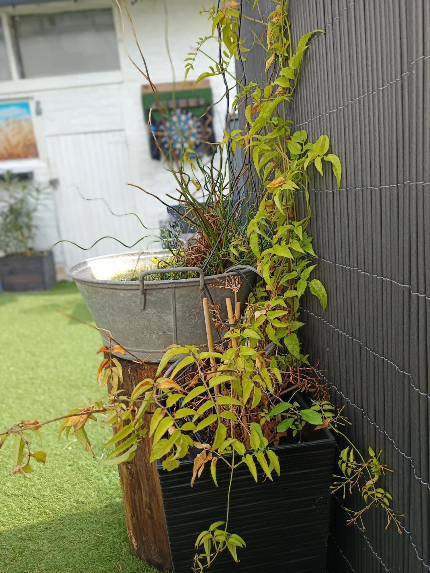 Le Cocon des Hortillonnages d'Amiens Camon  Extérieur photo