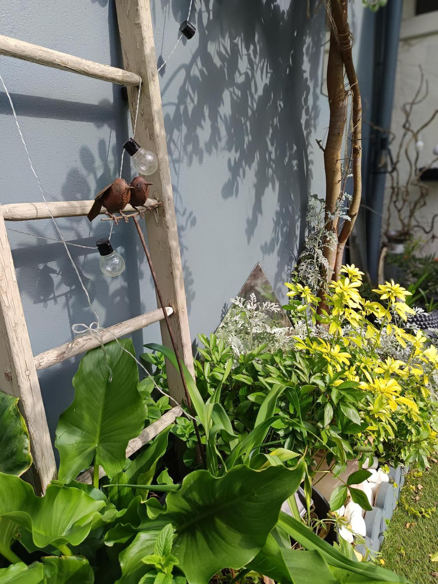 Le Cocon des Hortillonnages d'Amiens Camon  Extérieur photo